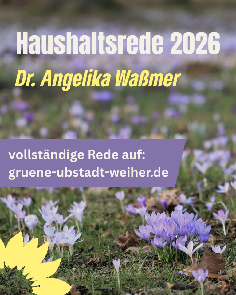 Haushaltsrede 2026