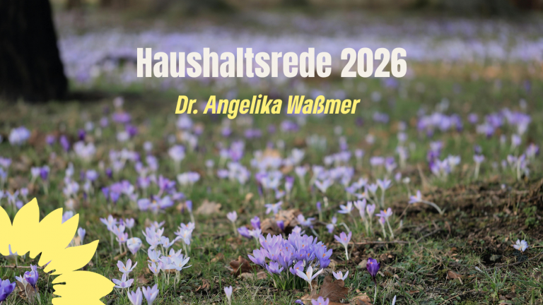 Haushaltsrede 2026