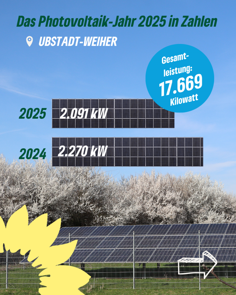 Photovoltaik-Rückblick 2025